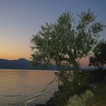 sveta marina